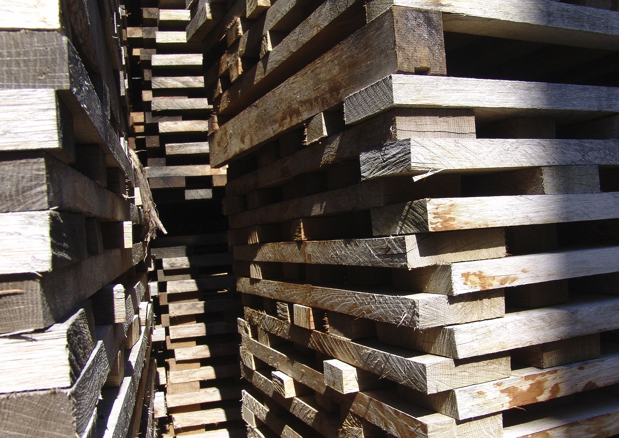 Madera para barricas