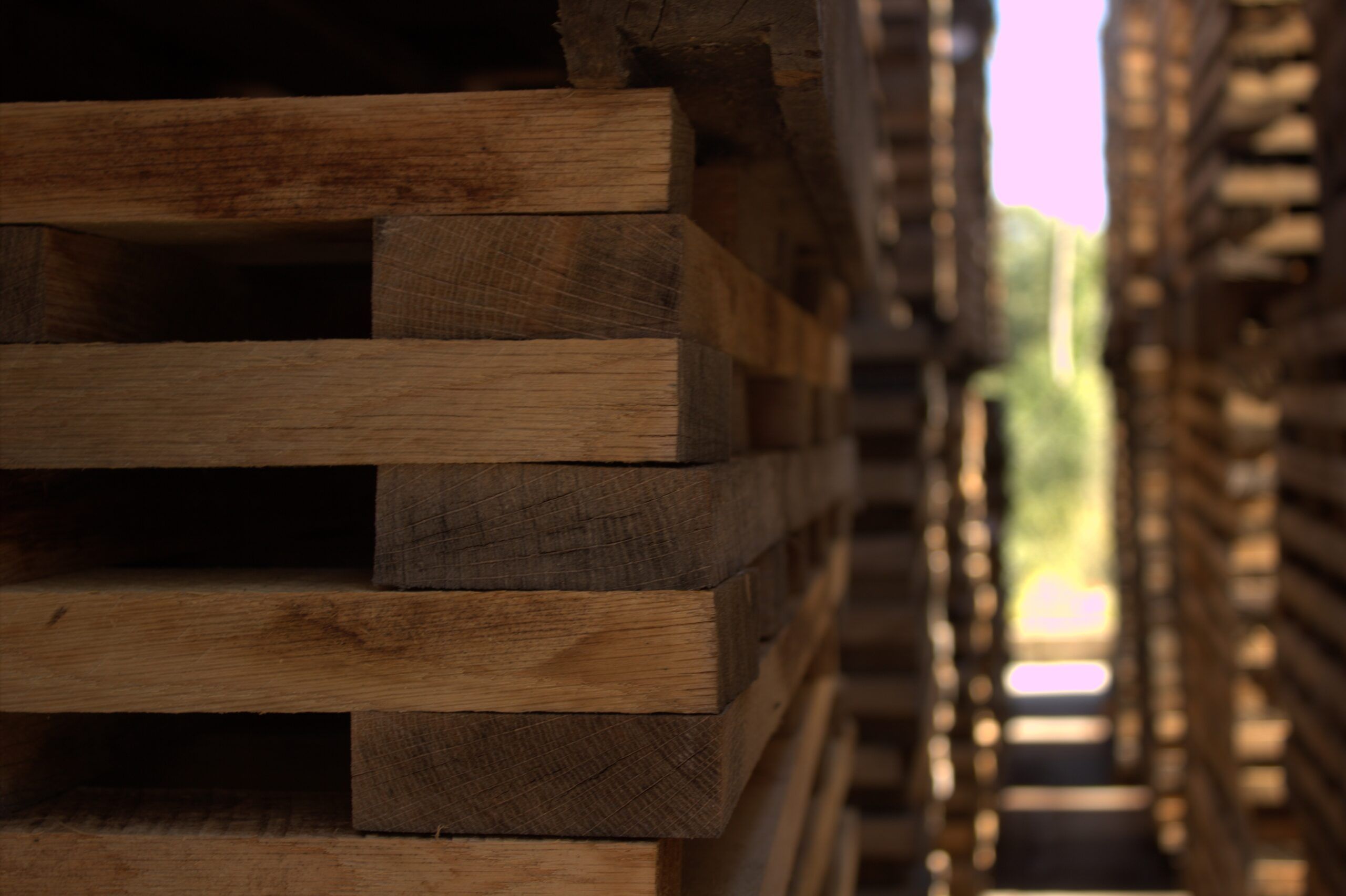 Oak wood